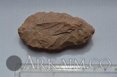 photo 2019 09 25 23 33 31