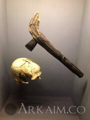 48395591 1956728781090511 3619379347044958208 N