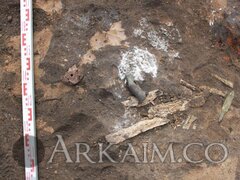 photo 2019 09 23 20 36 00