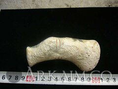 photo 2019 09 23 21 03 39