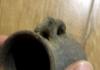 DSCF4729.JPG