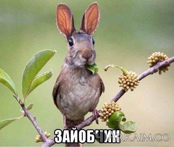 IMG_20160316_224519_0.jpg