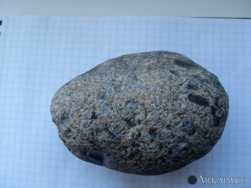 SDC14868.JPG