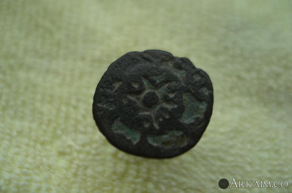 Изображение 3529.jpg