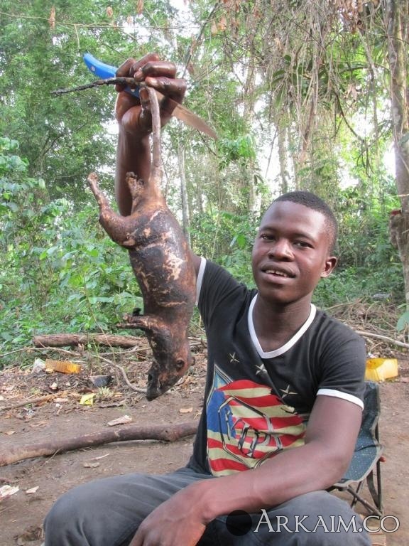 последняя мелкая крыска.jpg