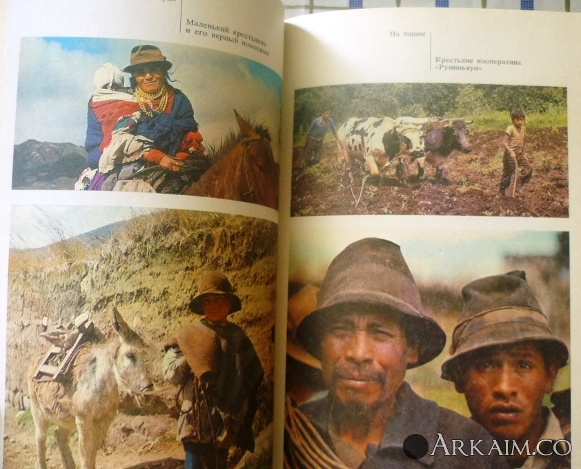 Изображение 4390.jpg