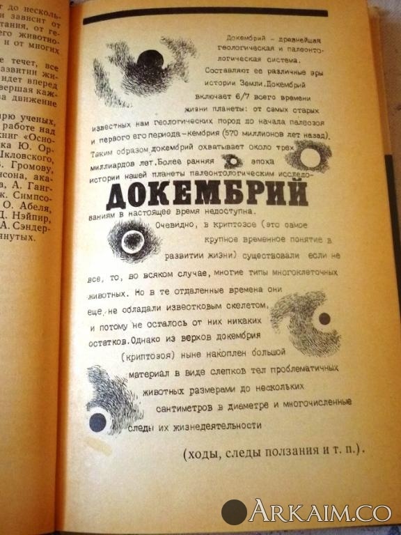 Изображение 3841.jpg