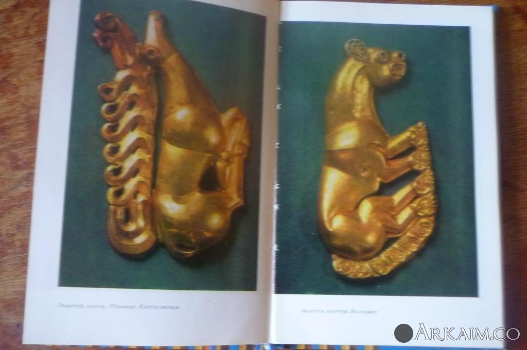 Изображение 4364.jpg