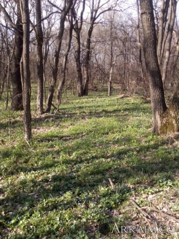 IMG_20140405_162717.jpg