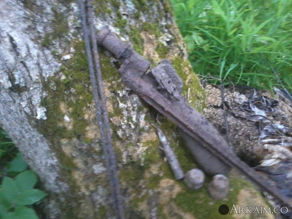 2017-05-08 14.56.09.jpg