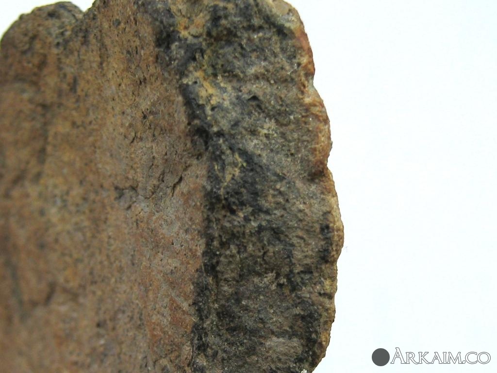 IMG_0822 (копия).jpg