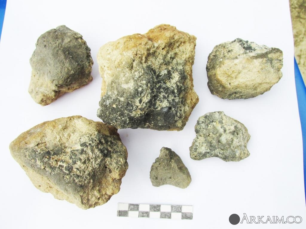 куски гины.jpg