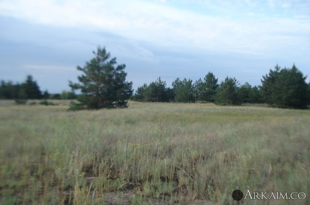 Изображение 3117.jpg