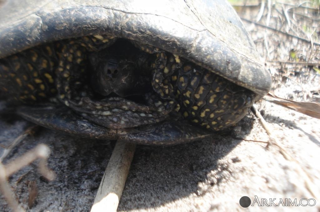 Изображение 3012.jpg