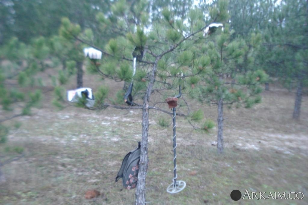 Изображение 2797.jpg