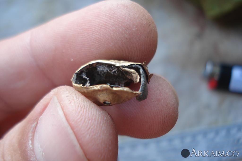 Изображение 3089.jpg