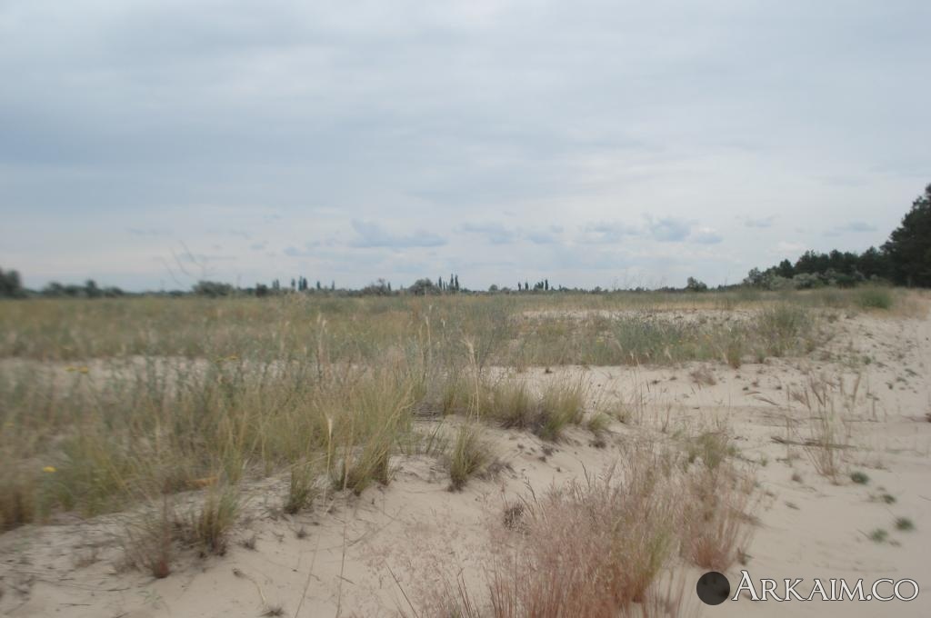 Изображение 3129.jpg