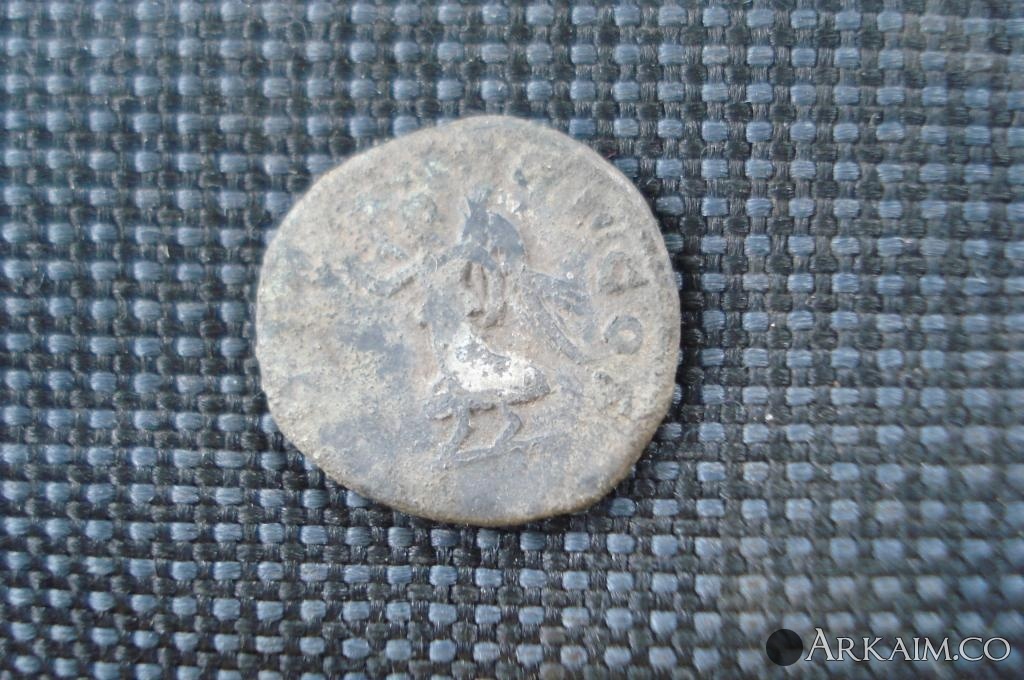 Изображение 3132.jpg