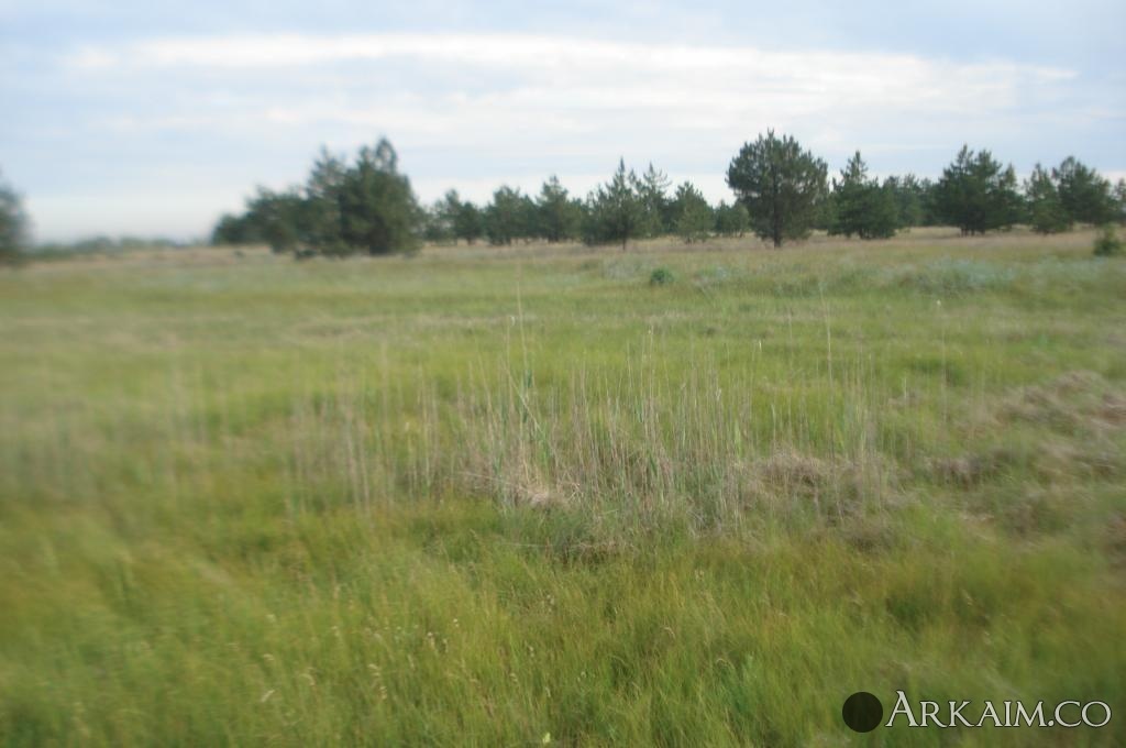 Изображение 3116.jpg