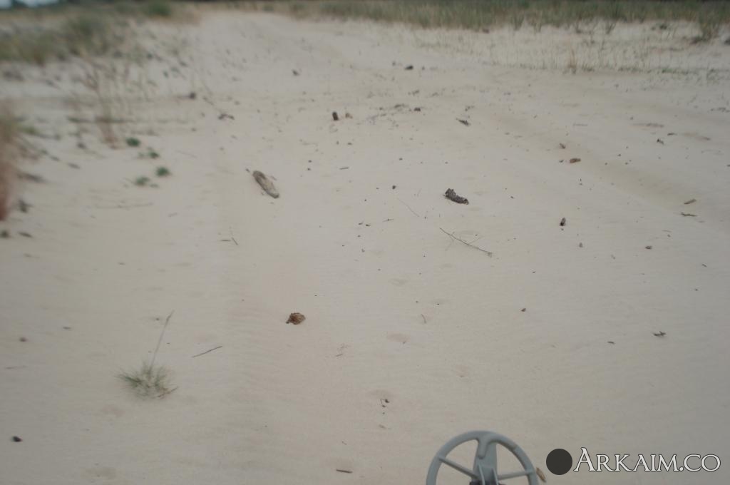 Изображение 3128.jpg