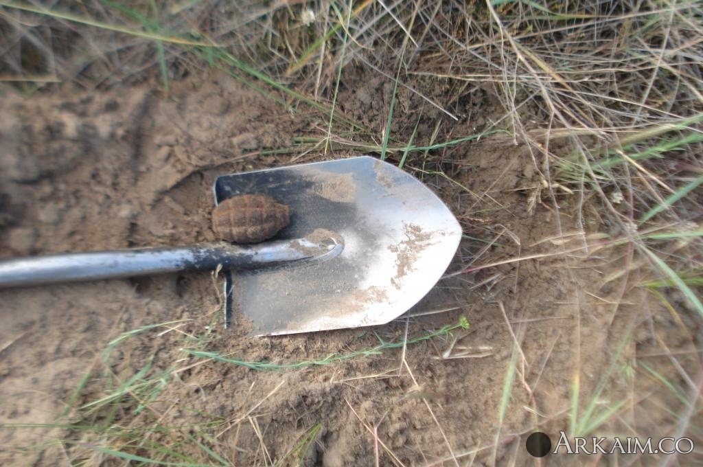 Изображение 3118.jpg