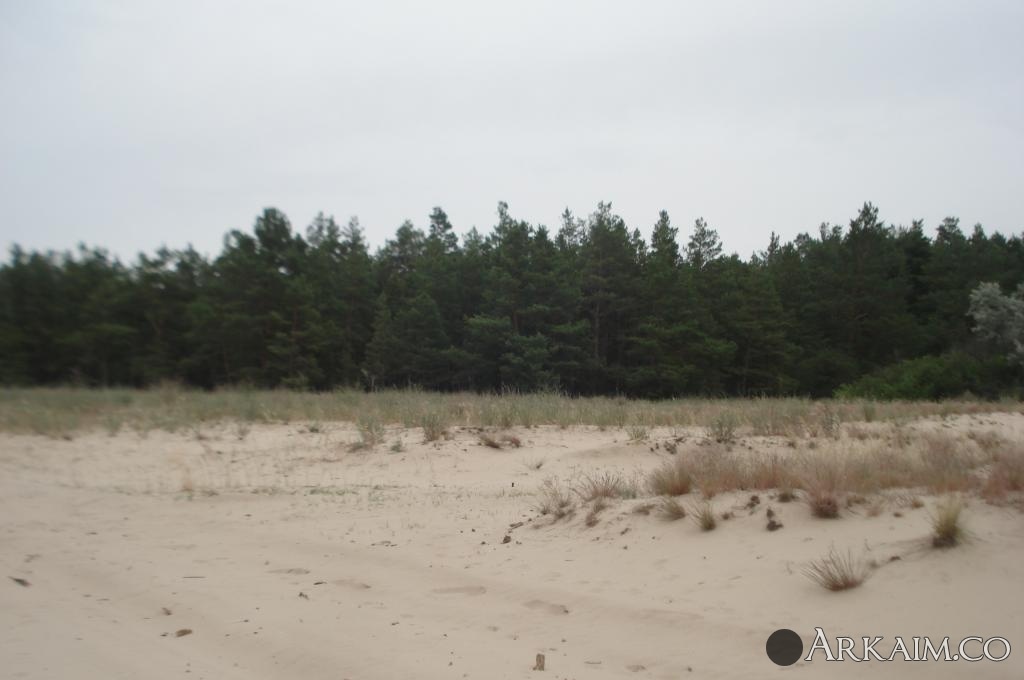 Изображение 3130.jpg