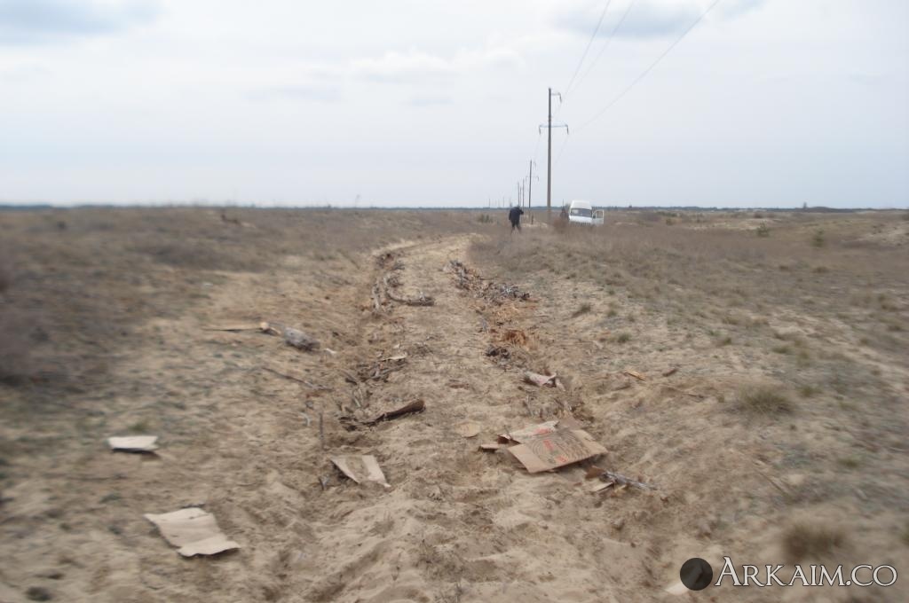 Изображение 2933.jpg