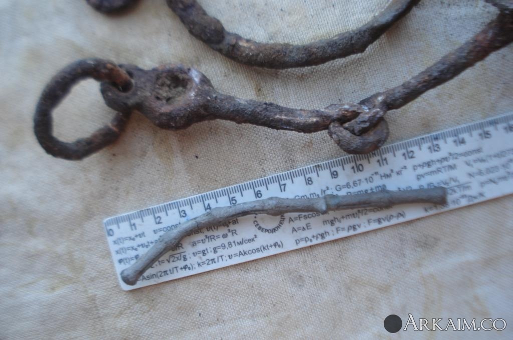 Изображение 3105.jpg