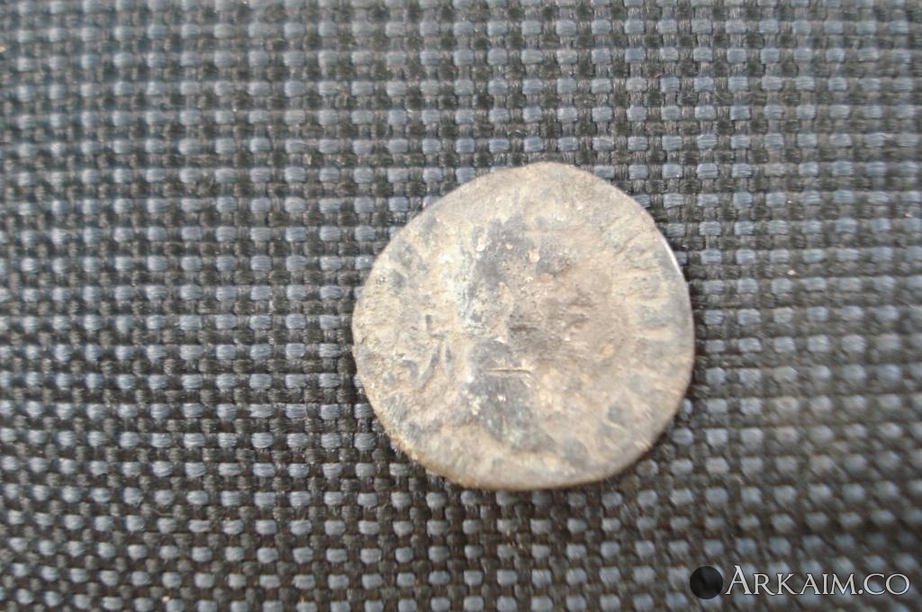 Изображение 3131.jpg