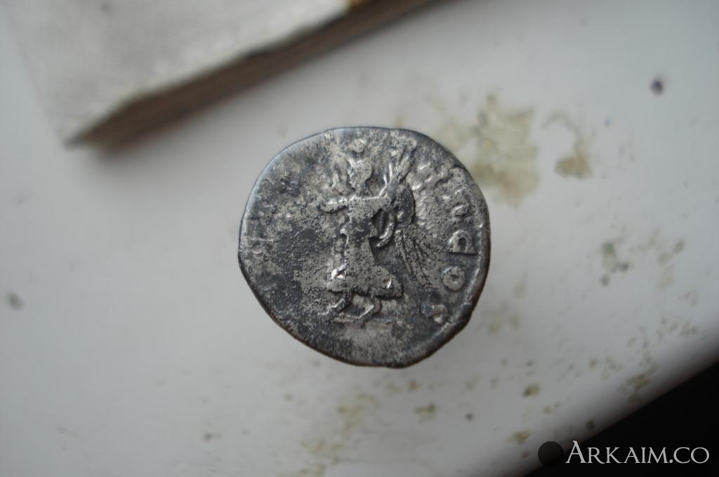 Изображение 3136.jpg