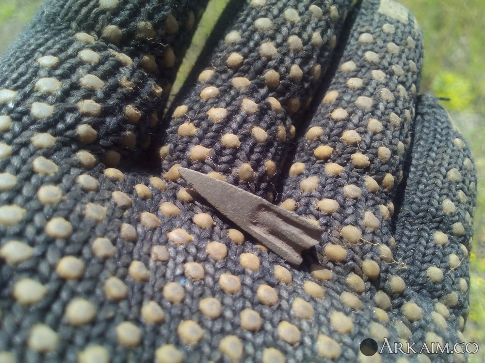 IMG_20170528_141407 - копия.jpg