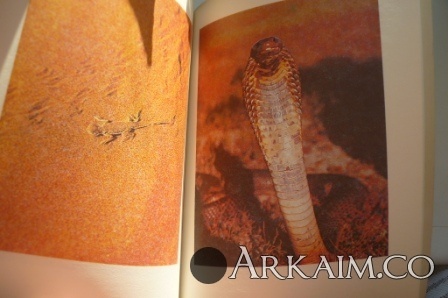 Изображение 2552.jpg