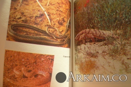 Изображение 2551.jpg