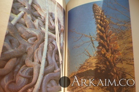 Изображение 2550.jpg