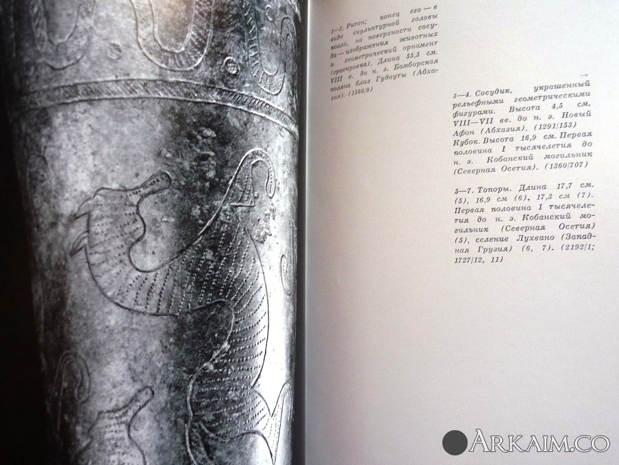 Изображение 2485.jpg