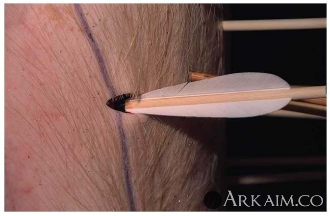 Новый рисунок (4).jpg