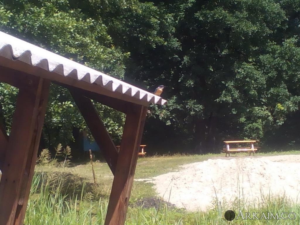 IMG_20170707_104550 - копия.jpg