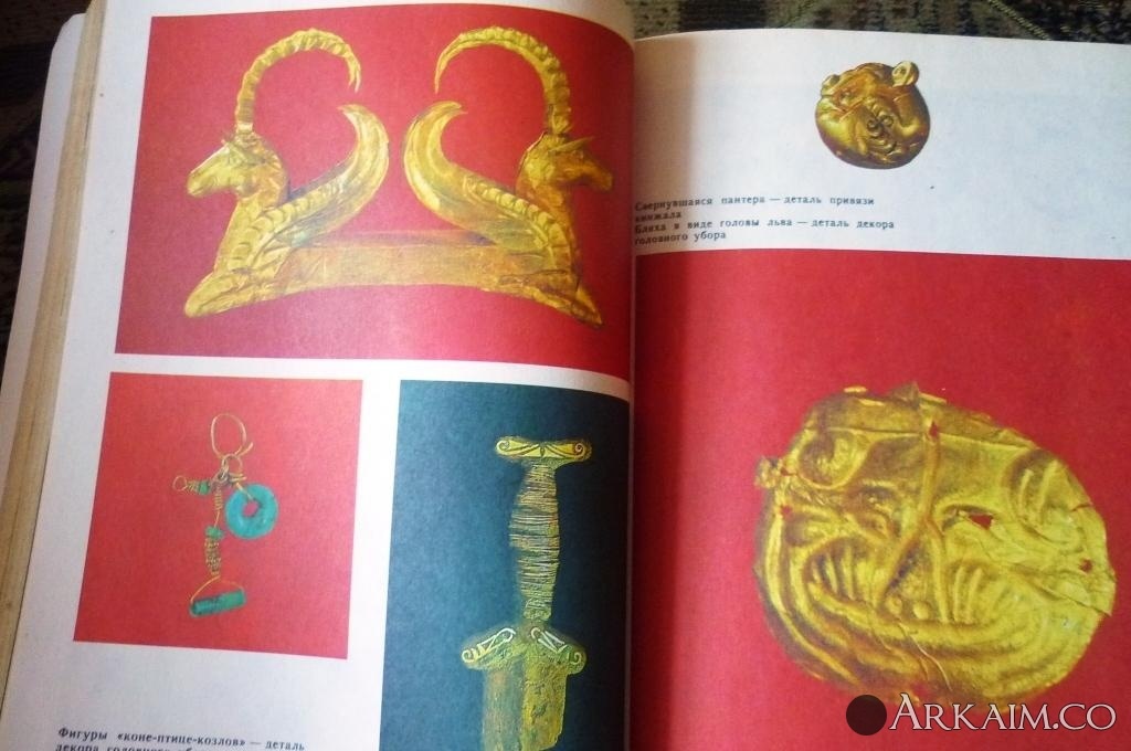 Изображение 2721.jpg