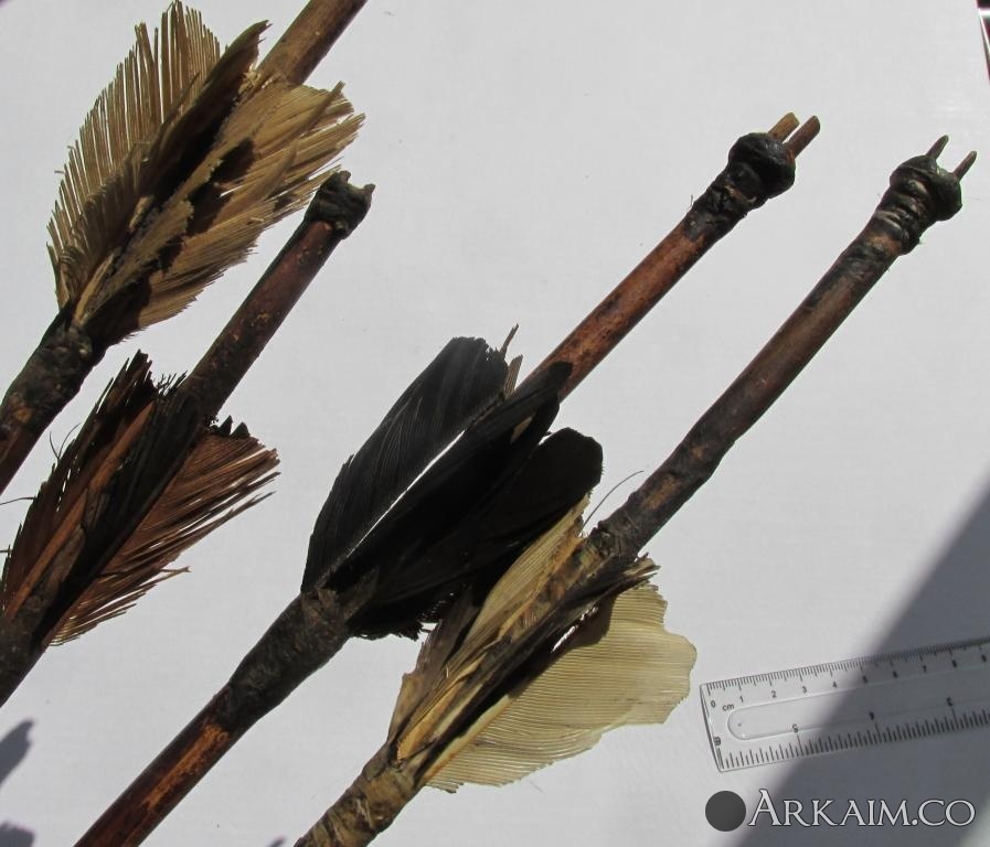 оперение африканских стрел.jpg