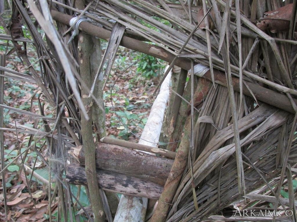 ловушка для обезьян 2.jpg