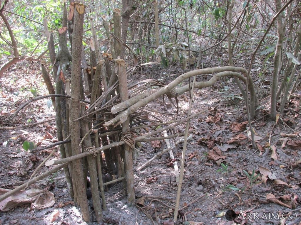 ловушка  для циветы.jpg