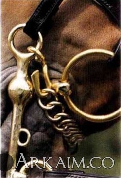 Челюстная цепочка.jpg