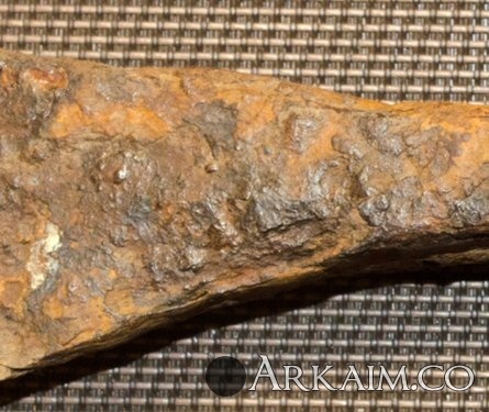 DSC_0829_500 (1).jpg