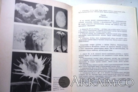 Изображение 3196.jpg