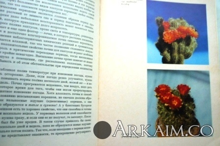 Изображение 3193.jpg