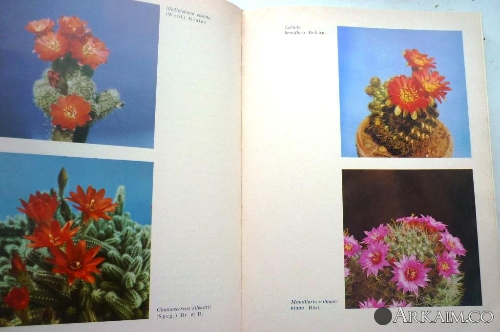 Изображение 3194.jpg