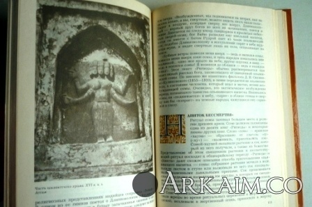 Изображение 3171.jpg