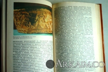 Изображение 3172.jpg