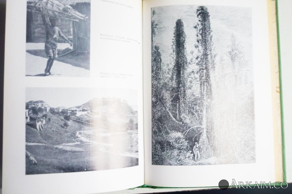 Изображение 3162.jpg