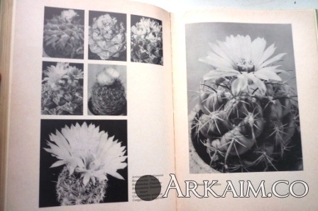 Изображение 3198.jpg